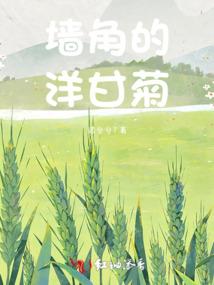 雪耀冬岭，雨烬荼靡