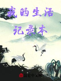 虚拟梦境网络