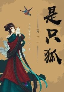 陨星界之龙魂