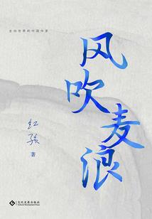哑王妃选夫记