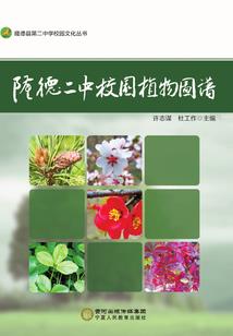 下次一定是你