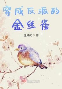 低维度空间