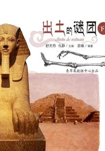 残暴帝王的单纯小狐妃