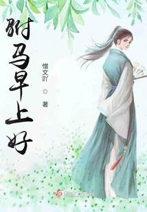 风霜星雨愿