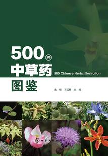 诡案七组