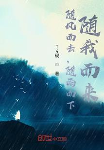 消失的侠